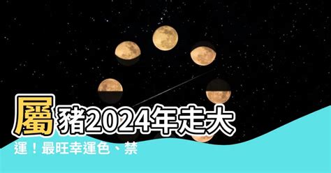 屬豬終身幸運色|【屬豬適合什麼顏色】屬豬者好運相隨！2024年最強幸運色解。